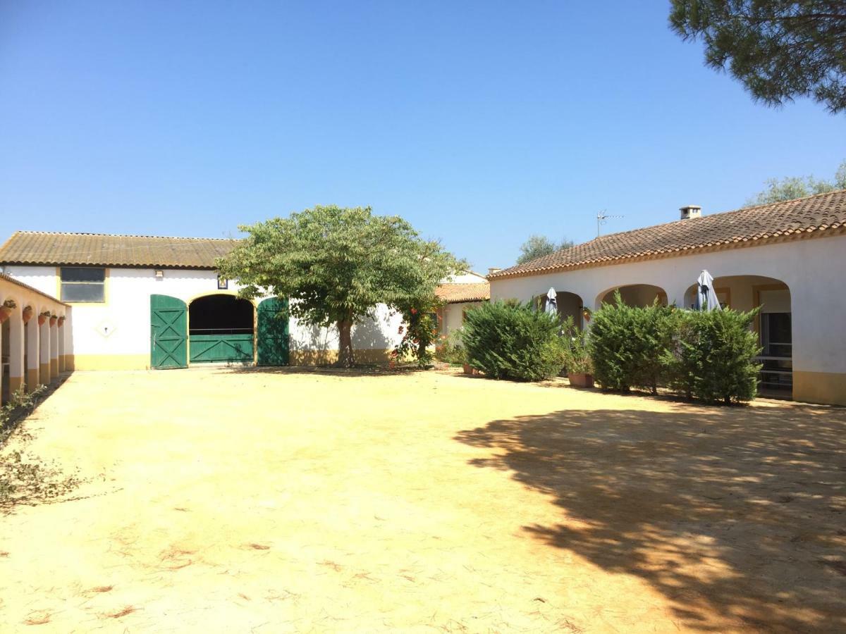 El Rocio 1 Gites Equestre Saintes-Maries-de-la-Mer Eksteriør billede