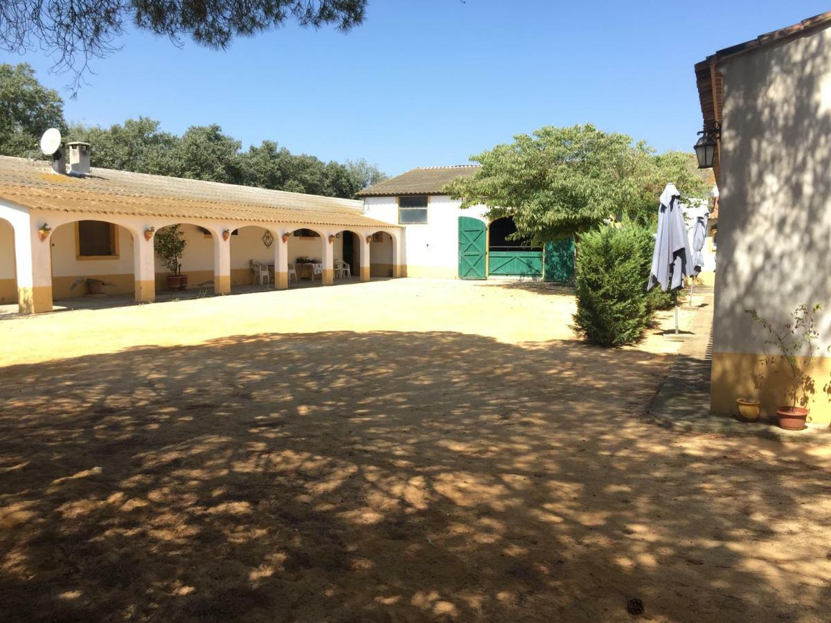 El Rocio 1 Gites Equestre Saintes-Maries-de-la-Mer Eksteriør billede