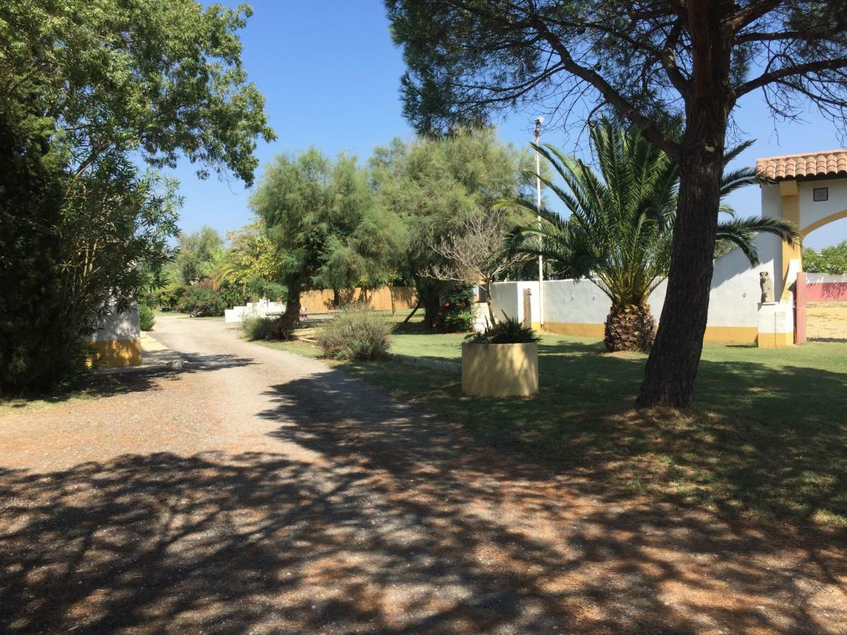 El Rocio 1 Gites Equestre Saintes-Maries-de-la-Mer Eksteriør billede