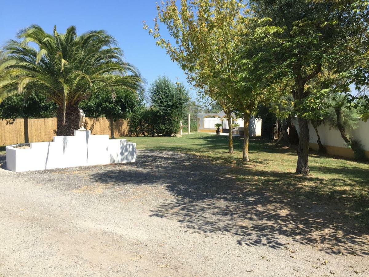 El Rocio 1 Gites Equestre Saintes-Maries-de-la-Mer Eksteriør billede